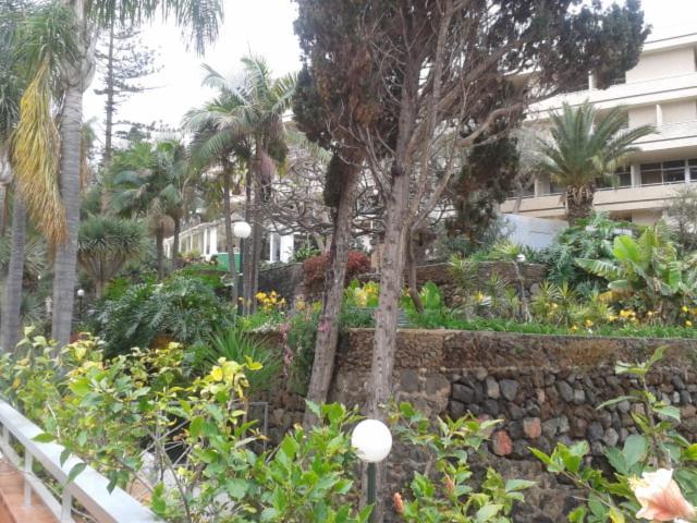 Leilighet Tranquilo